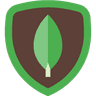 MongoDB icon